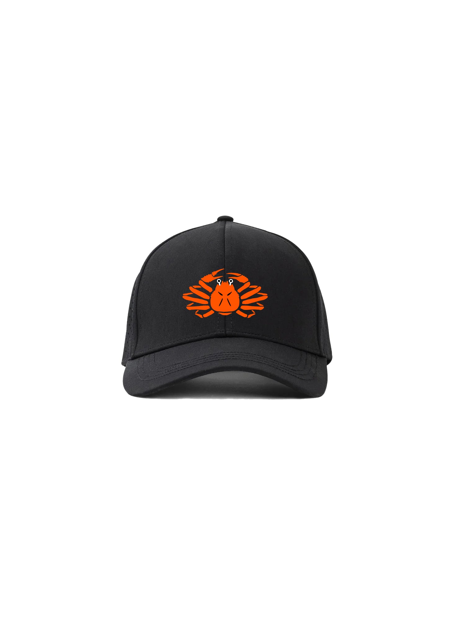 Snow Crab